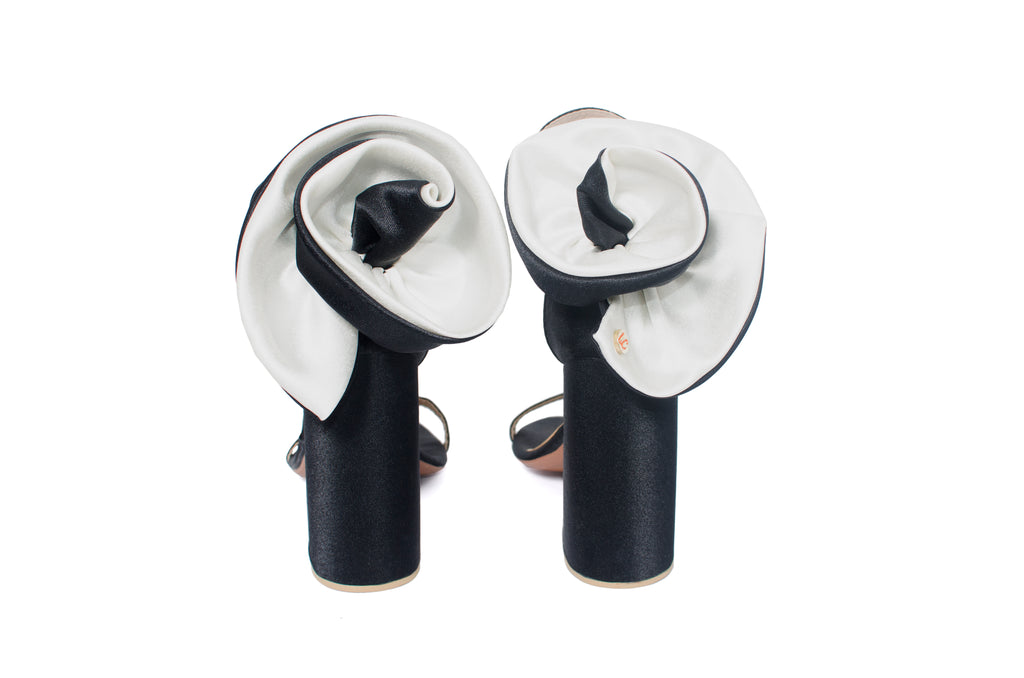 Crisantemo Black