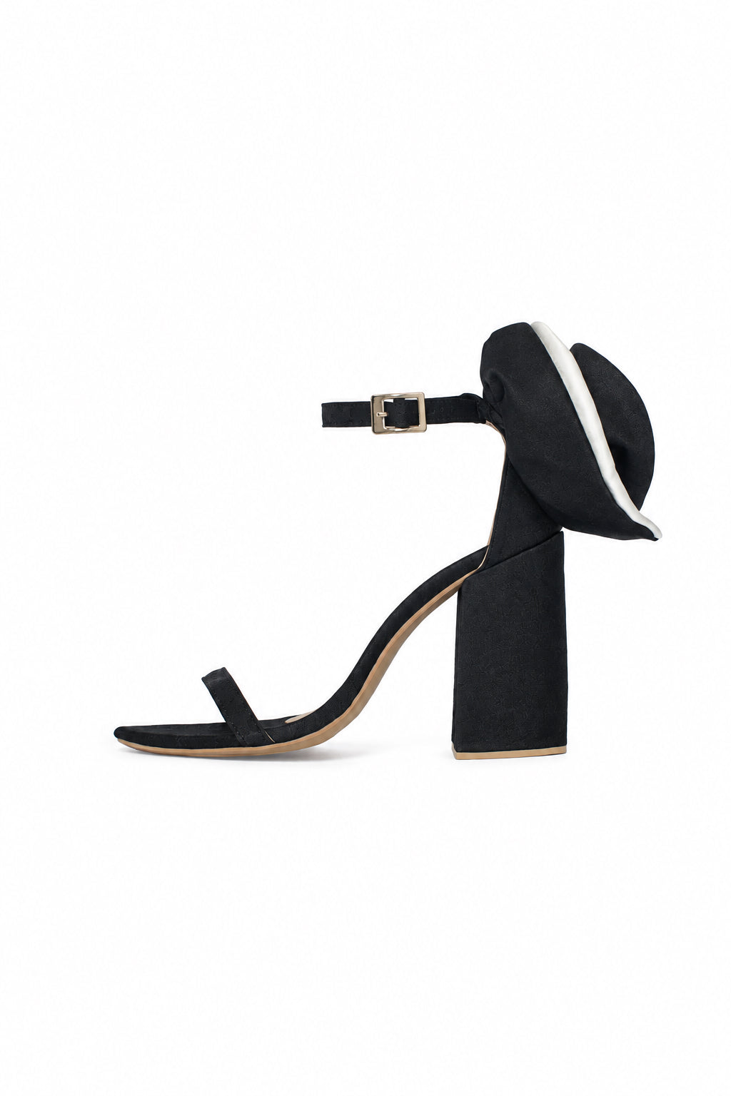 Crisantemo Black